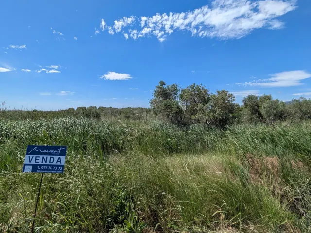 FINCA REGADÍO DE OLIVOS EN DELTA DEL EBRO - foto 3