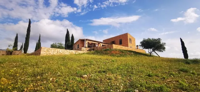 FINCA RUSTICA EN PARAJE DE PELÍCULA — 5