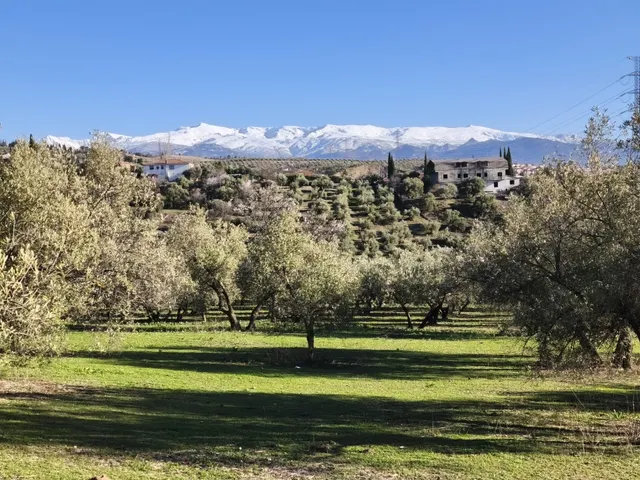 Terreno rural en venta - Sierra de huetor y la alfaguara — 7