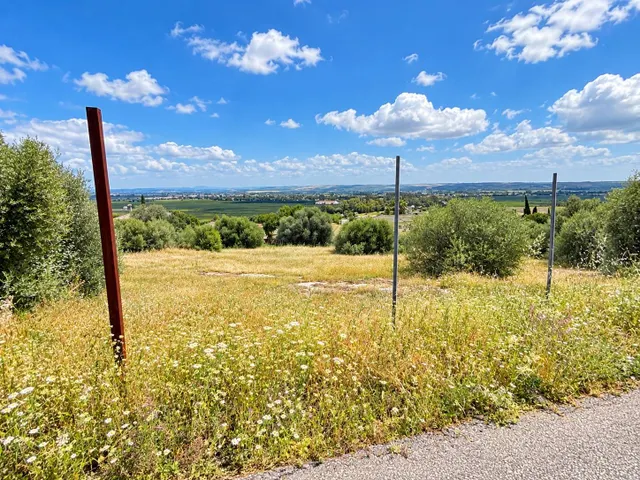 2.089 m2 DE ESPACIO, NATURALEZA Y UNAS VISTAS QUE HABLAN POR SÍ SOLAS . . . — 11