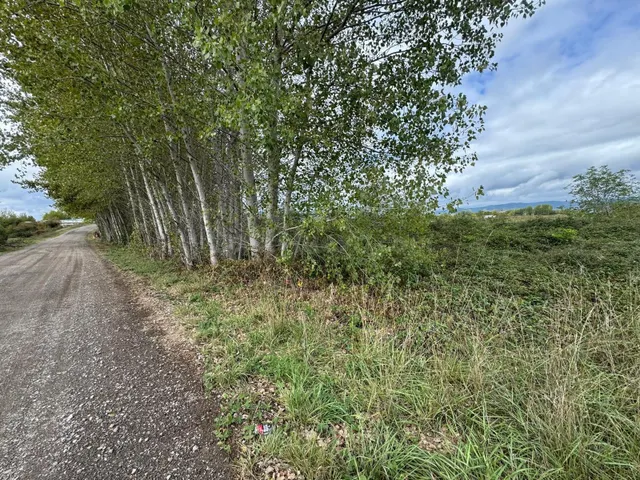 SE VENDE 8.800 M2 DE TERRENO RUSTICO EN CARRACEDELO - foto 4