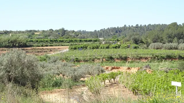 Terreno en venta en Vilamarxant — 3