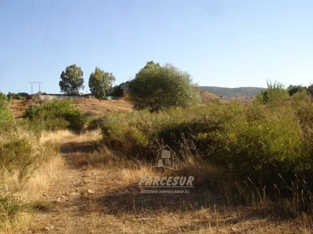 SUELO URBANO DE 36.000 M2 EN LOS ENCINARES DE ALCOLEA. - foto 4