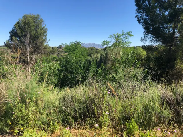 GRAN PARCELA EN VENTA EN GELIDA -10689 M2- — 6