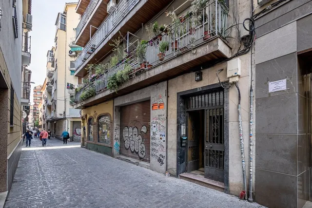 Junto San Antón — 21