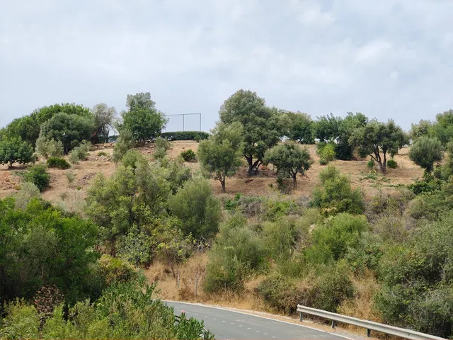 Parcela en venta - Istan pueblo — 2