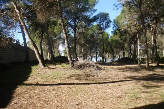 Terreno en Garrofer de L'Hora - Ontinyent — 2