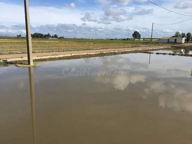 GRANJA AVICOLA,CASA Y ARROZAL EN VENTA!!!