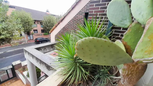 CHALET EN VENTA EN PAULA LÓPEZ-COVARESA — 43