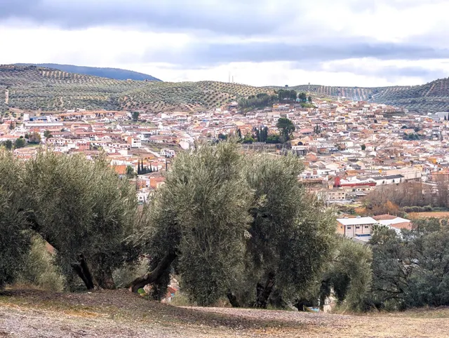 Terreno en Venta en Deifontes con proyecto de inversión - foto 5