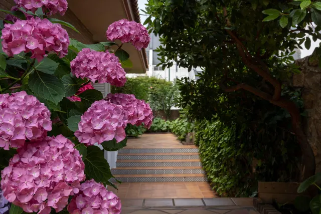 Excepcional chalet pareado cerca a Avenida Europa en Pozuelo de Alarcón — 8