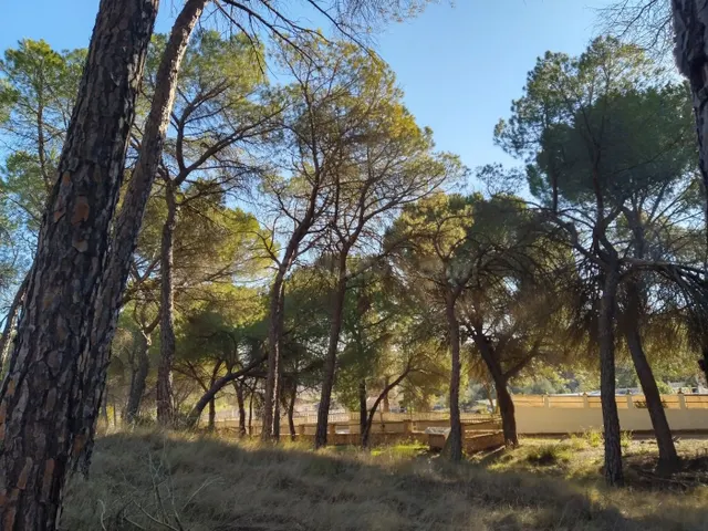 Terreno - foto 3
