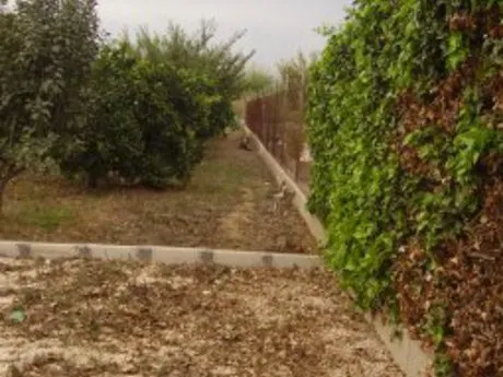 ++OCASION++TERRENO EN VENTA EN BUENA ZONA DE LA RIBERA DE MOLINA+ — 11