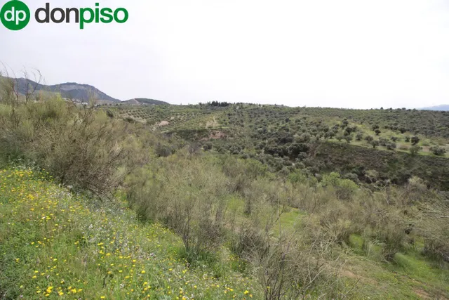 FINCA EN CORTIJO SAN JERÓNIMO (BARTODANO) — 34