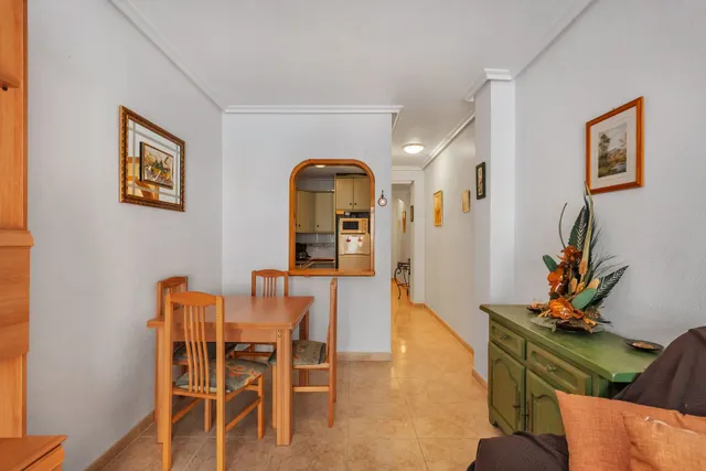 APARTAMENTO DE 3 DORMITORIOS 2 BAÑOS EN TORREVIEJA ( ALICANTE ) — 16