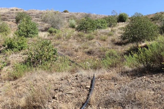 Parcela 60m² en venta - Alora pueblo — 6