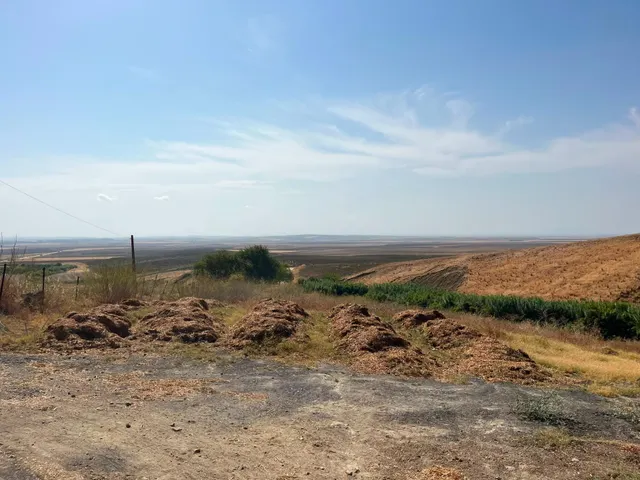 Venta de finca rústica en Carmona (Sevilla) — 9