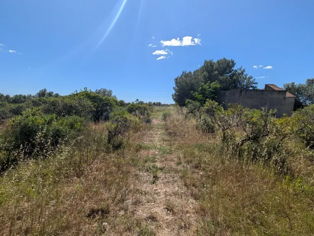 Finca de Ensueño con Casa de Campo a Pocos Kilómetros del Ma - foto 4