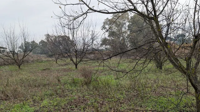 Parcela en venta - Puerto Sol-Los Almendros-El Tomillar — 11
