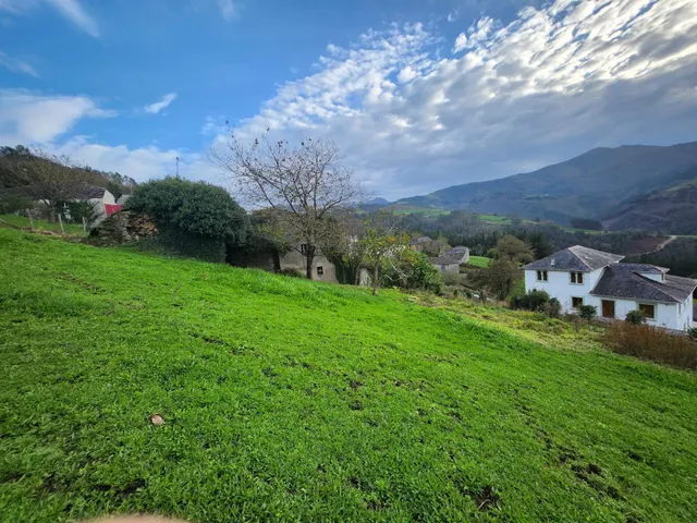 PRECIOSA CASA CON CAPILLA Y TERRENOS EN VILLAYON (ASTURIAS) — 28