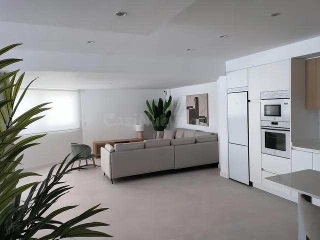 AMPLIO APARTAMENTO DE 3 DORMITORIOS RECIÉN REFORMADO EN RÍO  - foto 3