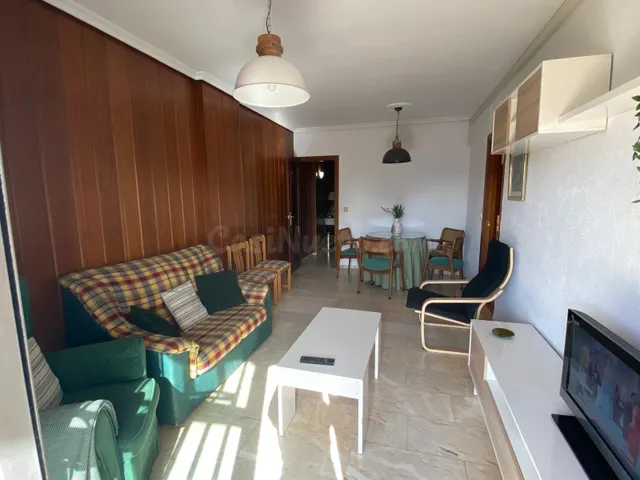 RAMÓN Y CAJAL JUNTO. ALQUILER DE VIVIENDA DE TEMPORADA PARA  - foto 2