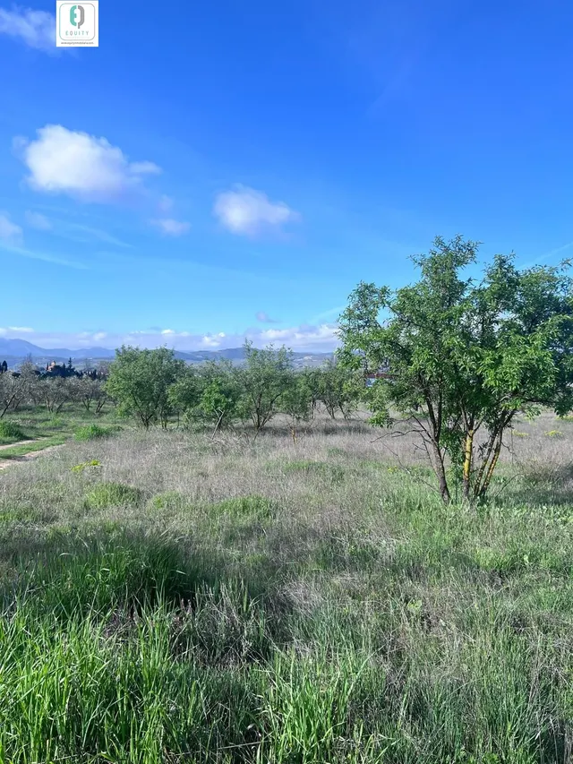 TERRENO RUSTICO EN PADUL — 12