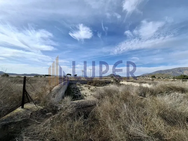 TERRENO RUSTICO A LA VENTA EN AGOST - foto 2