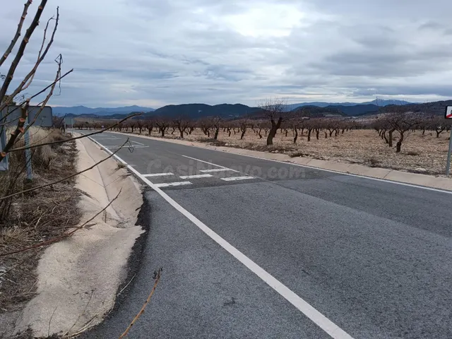 SE VENDE TIERRA CON ALMENDROS EN PRODUCCIÓN!!! - foto 4