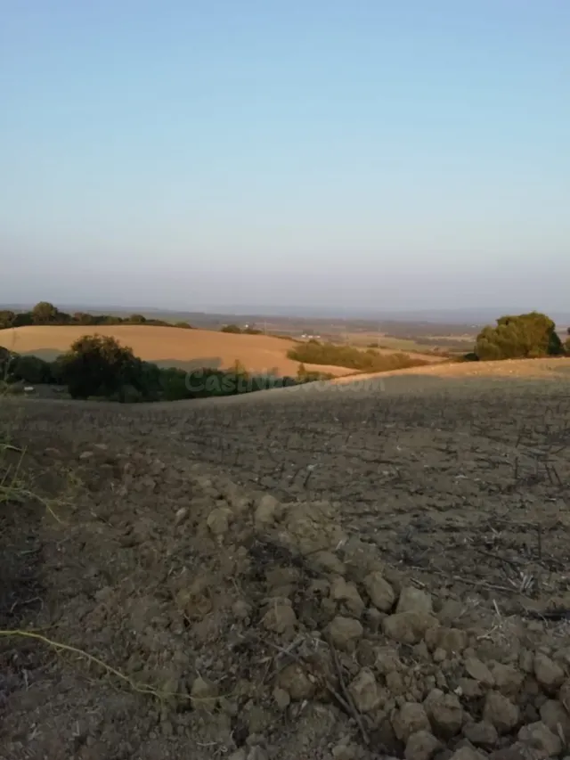 FINCA RÚSTICA EN LA ZONA DEL ABEJARUCO - foto 4