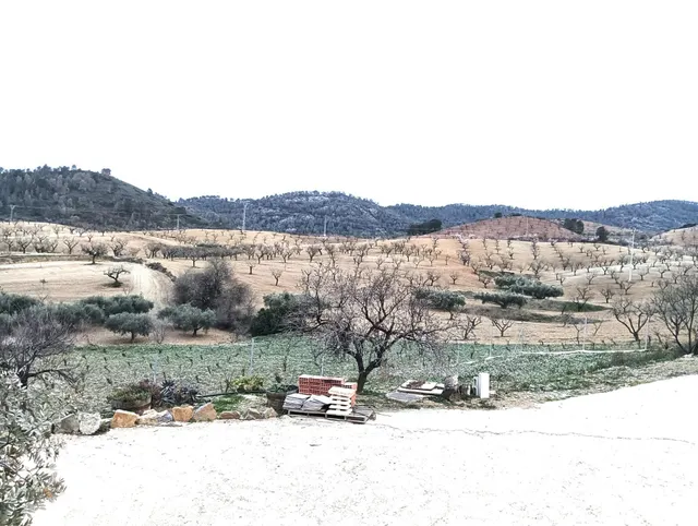 Finca en Los Jarales - foto 5