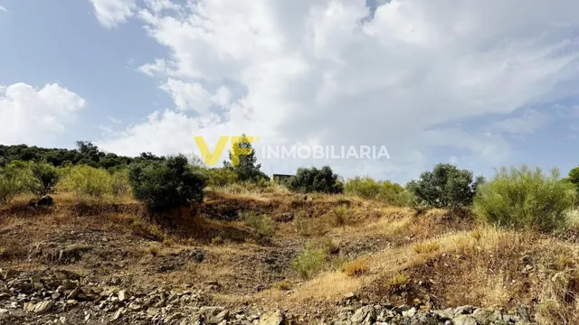 ¡Silencio, aire puro... y Málaga a 25 minutos! — 2