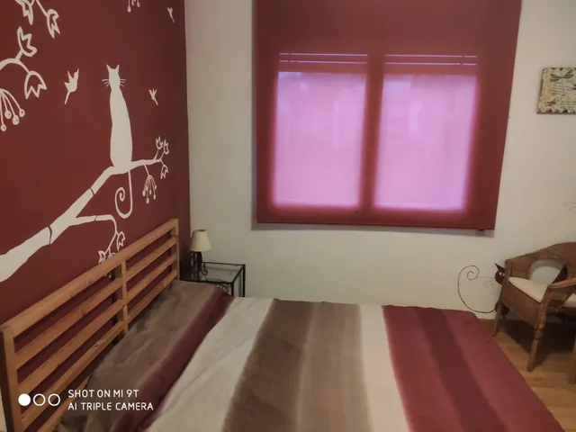 Piso 4 habitaciones 87m² en venta - Zona Alta — 7