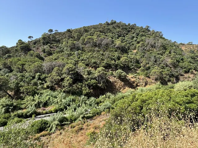 Parcela en venta - Costa Del Sol — 10