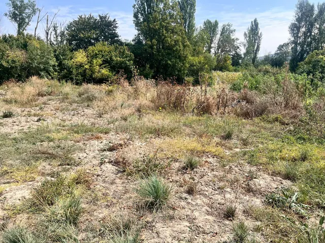 Terreno Rústico en venta - Urroz Villa - foto 3