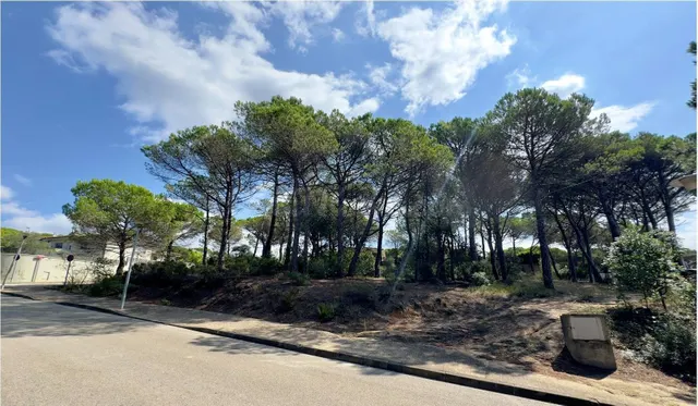 PRECIOSA PARCELA PARA CONSTRUIR LA CASA DE TUS SUEÑOS!!! - foto 2