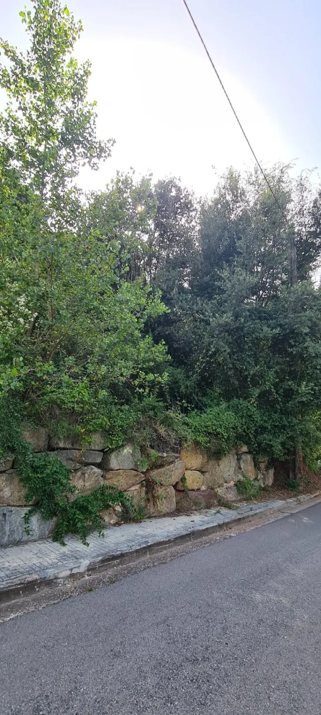 TERRENY EN VENDA A SANT FELIU DEL RACÓ — 3