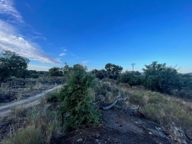 TERRENO RUSTICA CON ENCINAS EN ALDEA DEL CANO - foto 3