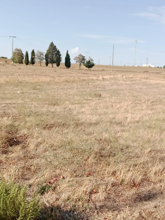 Venta de Parcela en Matapozuelos - foto 5