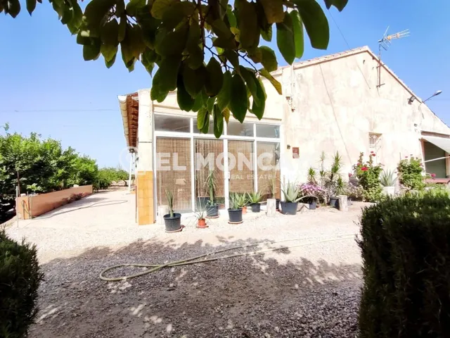 Fantástica casa de campo con parcela en la zona del campo de Elche, Alicante, Costa Blanca — 5