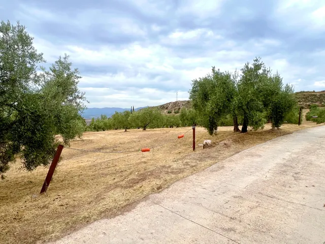 NIVAR - FINCA DE OLIVOS — 13