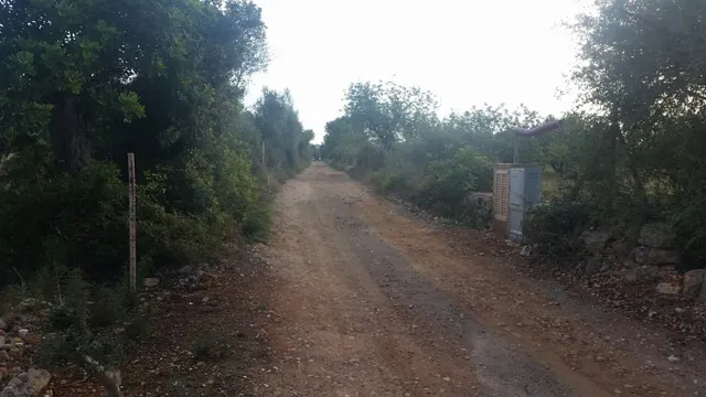 Finca con licencia — 11