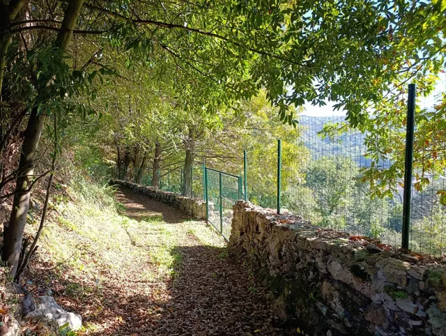 Terreno urbano en venta - Trubia — 38