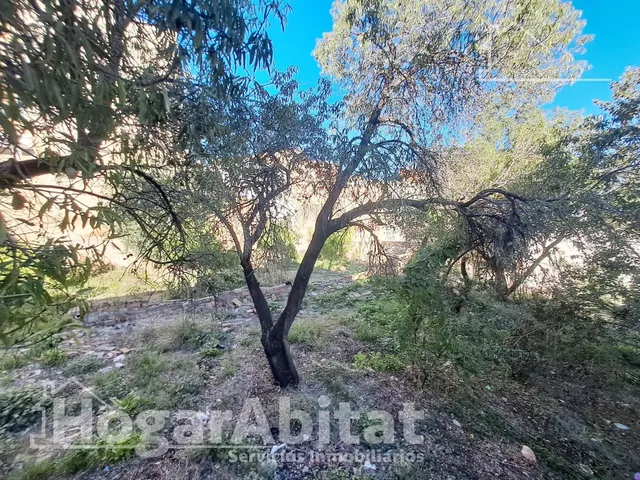 AMPLIA CASA CON 2 TERRAZAS PARA REFORMAR EN EL CENTRO — 30