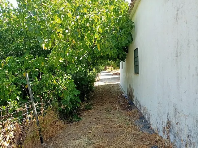 Casa de campo-Masía en Venta en Benastepal Málaga — 81