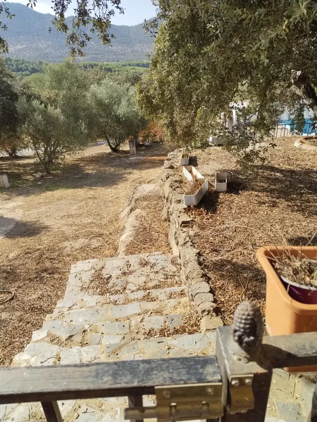 Finca Rústica en Espiel, Córdoba — 9