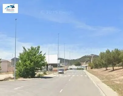 Venta finca rústica en Peñíscola (Castellón/Castelló)