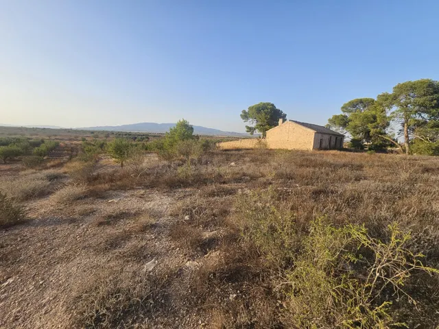 GRAN FINCA RÚSTICA DE 80.000 M2 CON CASA PARA REFORMAR - foto 2
