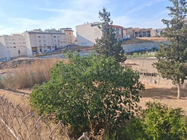 FINCA URBANA CON NAVE REFORMADA EN VENTA · EL PANDERÓN, MOLI - foto 3