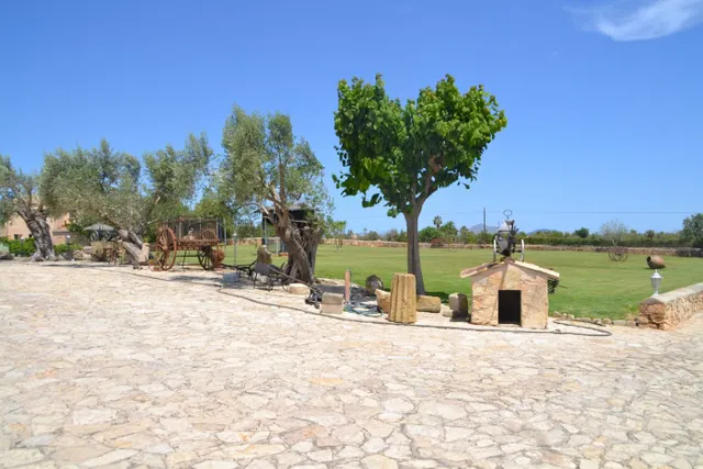 Magnifica finca — 12